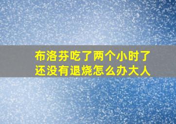 布洛芬吃了两个小时了还没有退烧怎么办大人