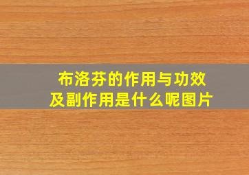 布洛芬的作用与功效及副作用是什么呢图片