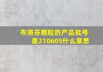 布洛芬颗粒的产品批号是210605什么意思