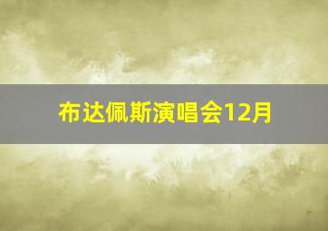 布达佩斯演唱会12月