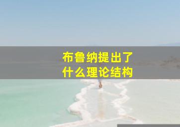 布鲁纳提出了什么理论结构