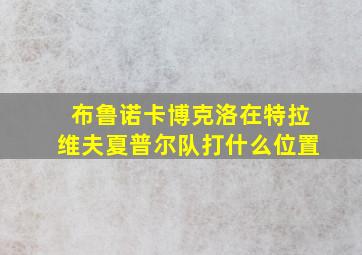 布鲁诺卡博克洛在特拉维夫夏普尔队打什么位置