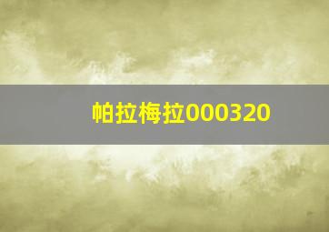 帕拉梅拉000320