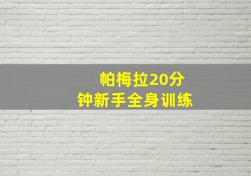 帕梅拉20分钟新手全身训练