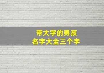 带大字的男孩名字大全三个字