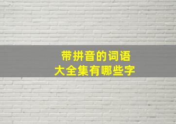 带拼音的词语大全集有哪些字