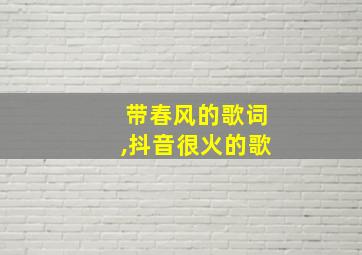 带春风的歌词,抖音很火的歌