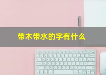 带木带水的字有什么