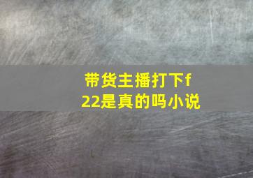 带货主播打下f22是真的吗小说