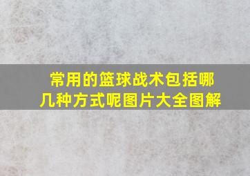 常用的篮球战术包括哪几种方式呢图片大全图解