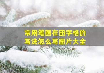 常用笔画在田字格的写法怎么写图片大全