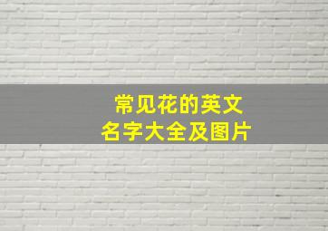 常见花的英文名字大全及图片