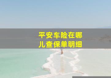 平安车险在哪儿查保单明细