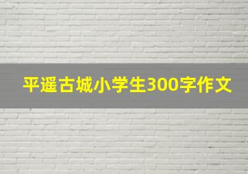 平遥古城小学生300字作文