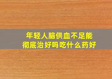 年轻人脑供血不足能彻底治好吗吃什么药好