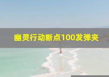 幽灵行动断点100发弹夹