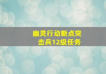 幽灵行动断点突击兵12级任务