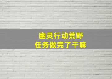 幽灵行动荒野任务做完了干嘛