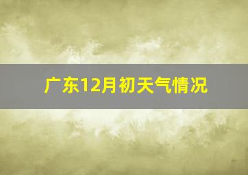 广东12月初天气情况