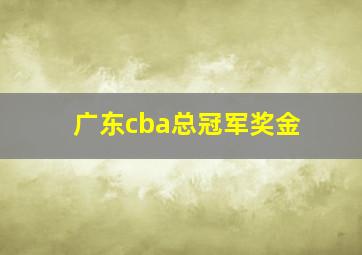 广东cba总冠军奖金