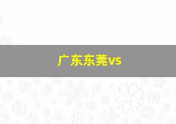 广东东莞vs