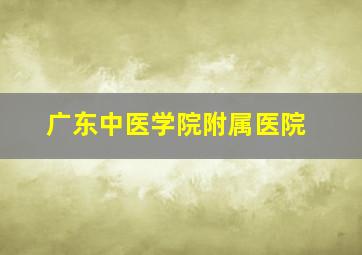 广东中医学院附属医院