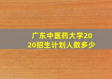 广东中医药大学2020招生计划人数多少