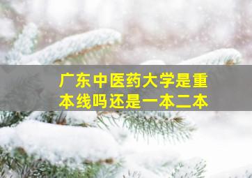 广东中医药大学是重本线吗还是一本二本