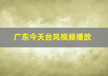 广东今天台风视频播放