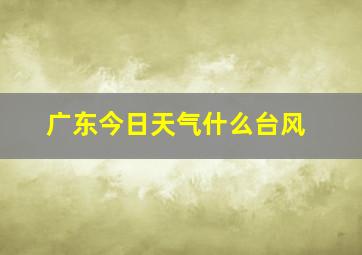 广东今日天气什么台风