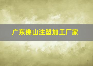 广东佛山注塑加工厂家