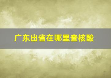 广东出省在哪里查核酸