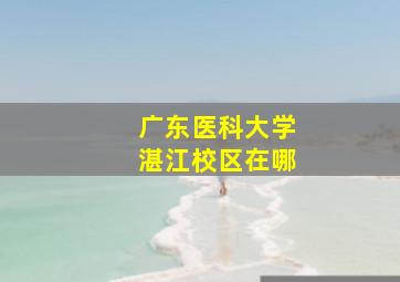 广东医科大学湛江校区在哪