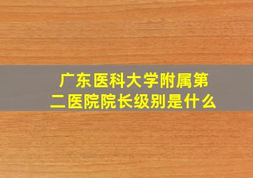 广东医科大学附属第二医院院长级别是什么