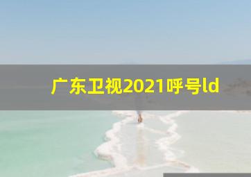 广东卫视2021呼号ld