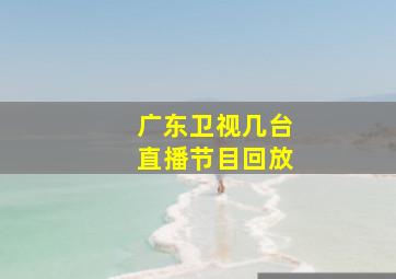 广东卫视几台直播节目回放