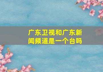 广东卫视和广东新闻频道是一个台吗