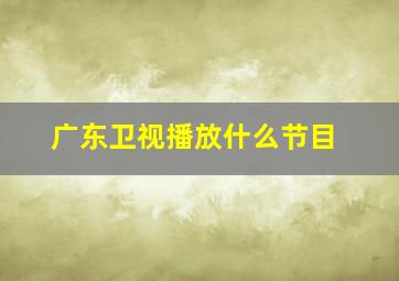 广东卫视播放什么节目