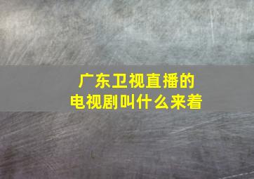 广东卫视直播的电视剧叫什么来着