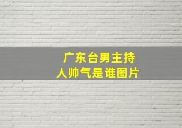 广东台男主持人帅气是谁图片