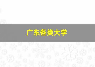 广东各类大学