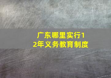 广东哪里实行12年义务教育制度