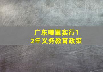 广东哪里实行12年义务教育政策