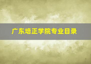 广东培正学院专业目录