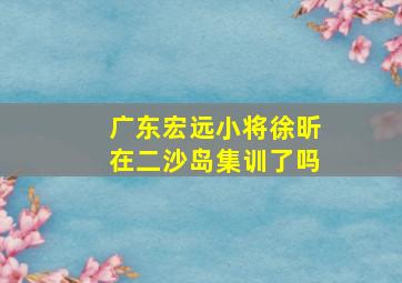 广东宏远小将徐昕在二沙岛集训了吗