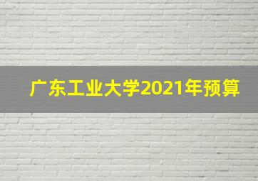 广东工业大学2021年预算