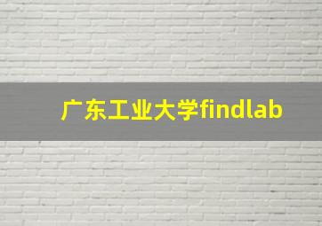 广东工业大学findlab