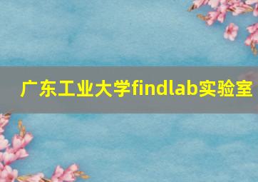 广东工业大学findlab实验室