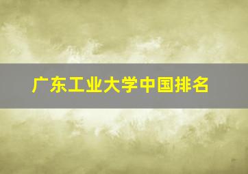 广东工业大学中国排名