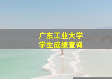 广东工业大学学生成绩查询